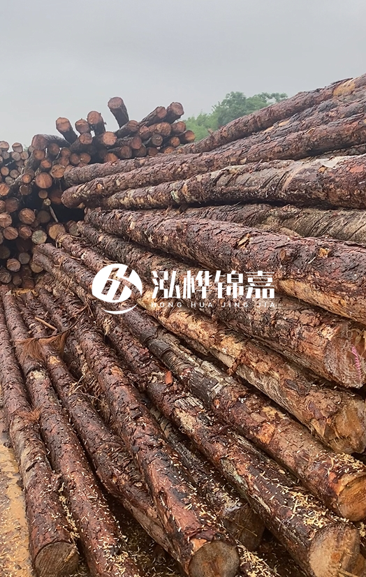 購買松木樁注意事項(xiàng)有哪些-不同直徑松木樁區(qū)別有哪些？