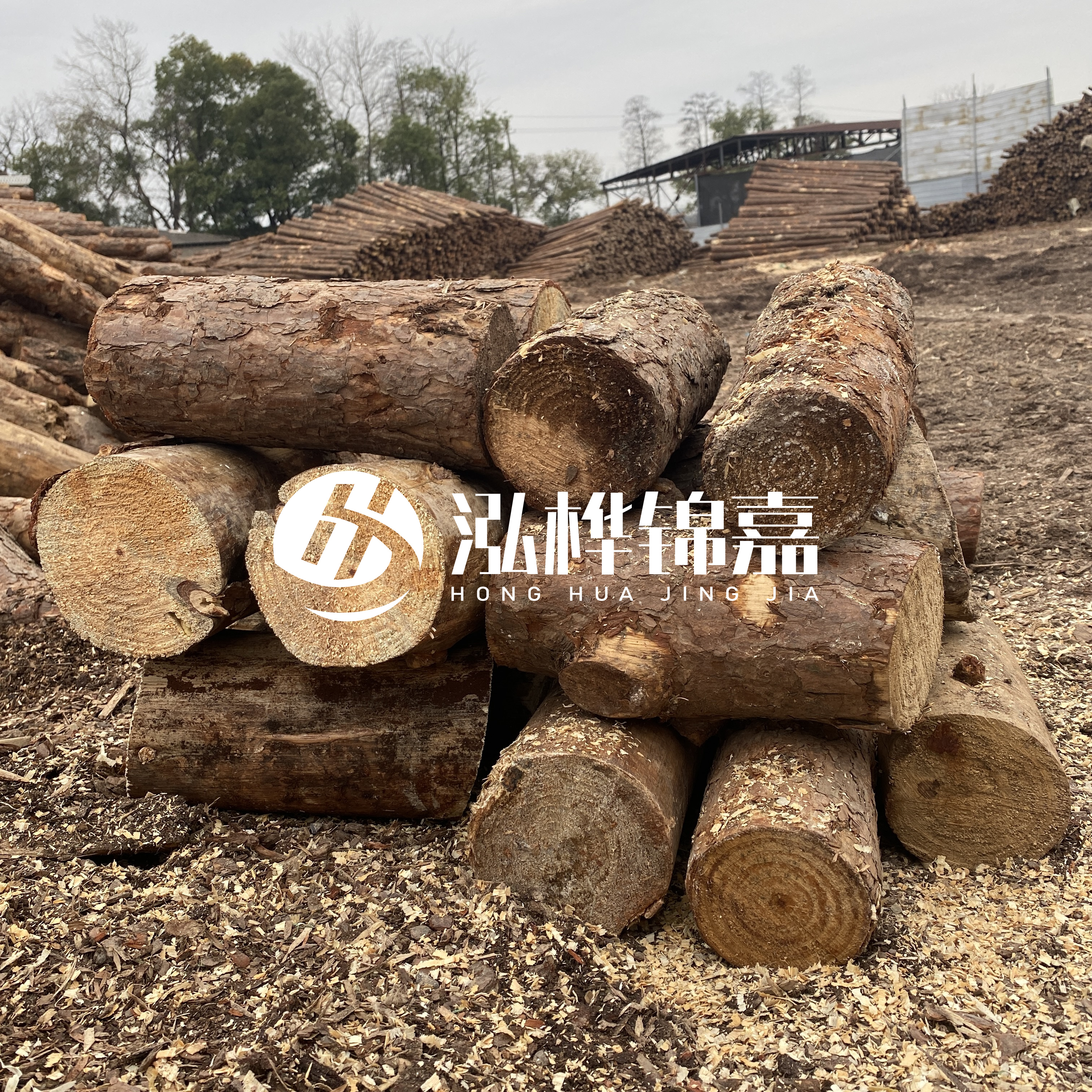 打樁木邊角料能做什么用途？怎么賣的？