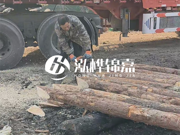 松木圓木價格大概多少一方-松木樁廠家按方可以賣嗎？