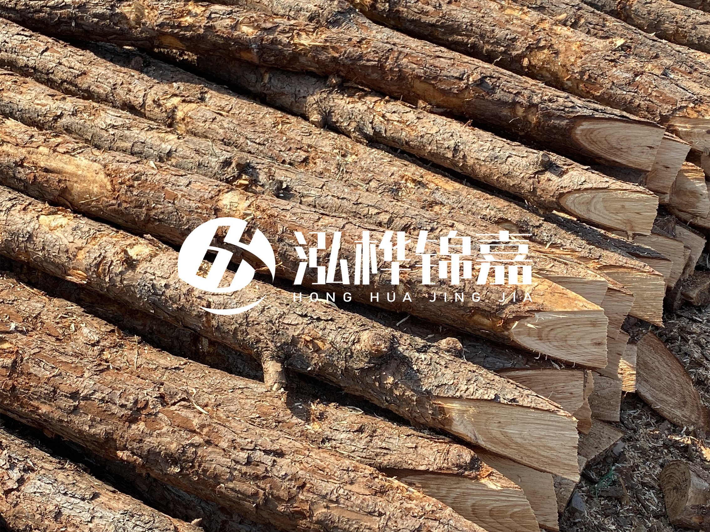 8 米超大直徑松木樁的價格是多少？帶皮和去皮松木樁價格差多少？
