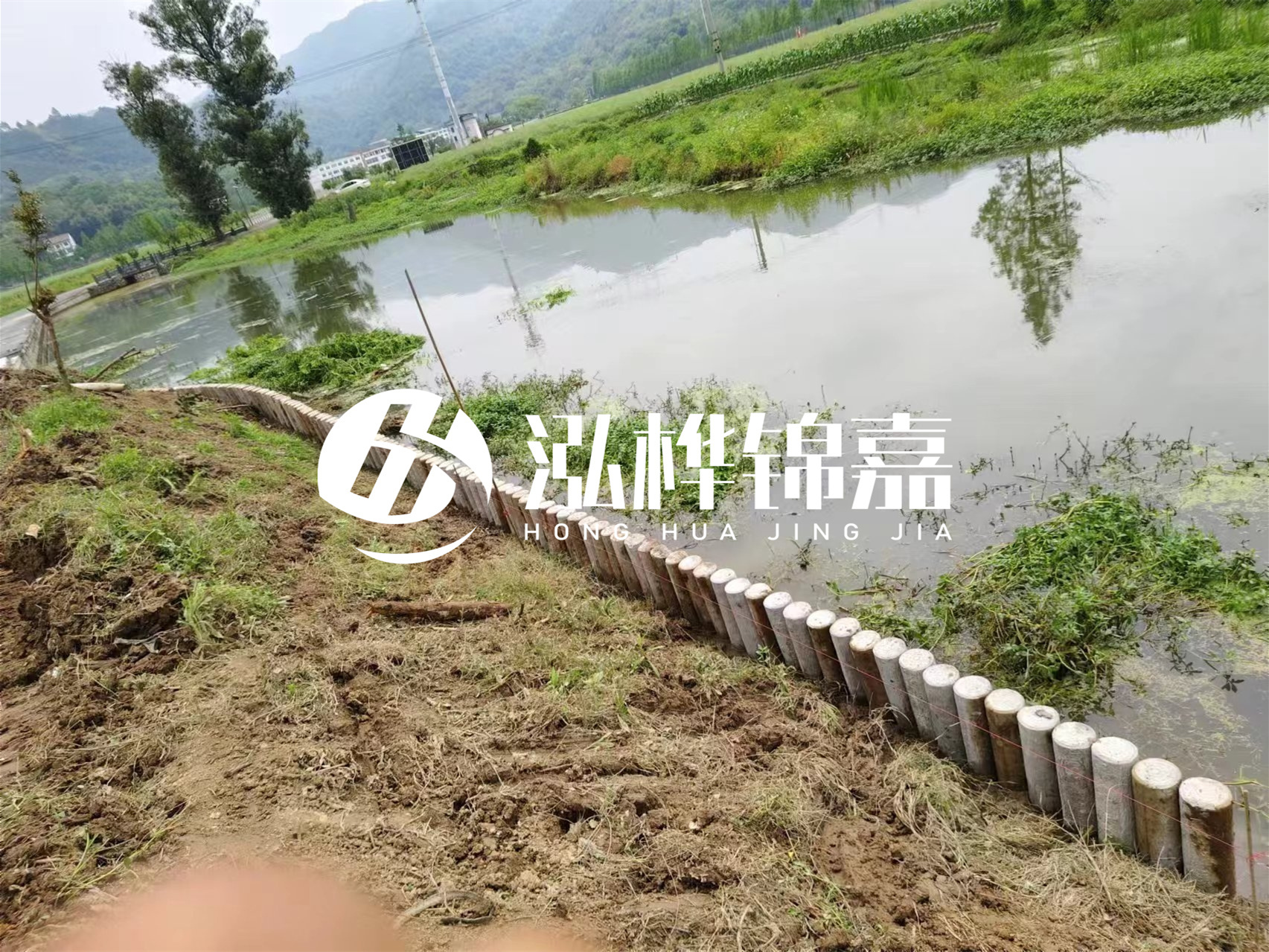 松木樁加固河道與水泥樁對比如何？哪一種更加適合您？