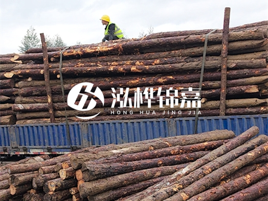 防洪防汛用松木樁的單價是多少？4米長10公分多少錢一根？