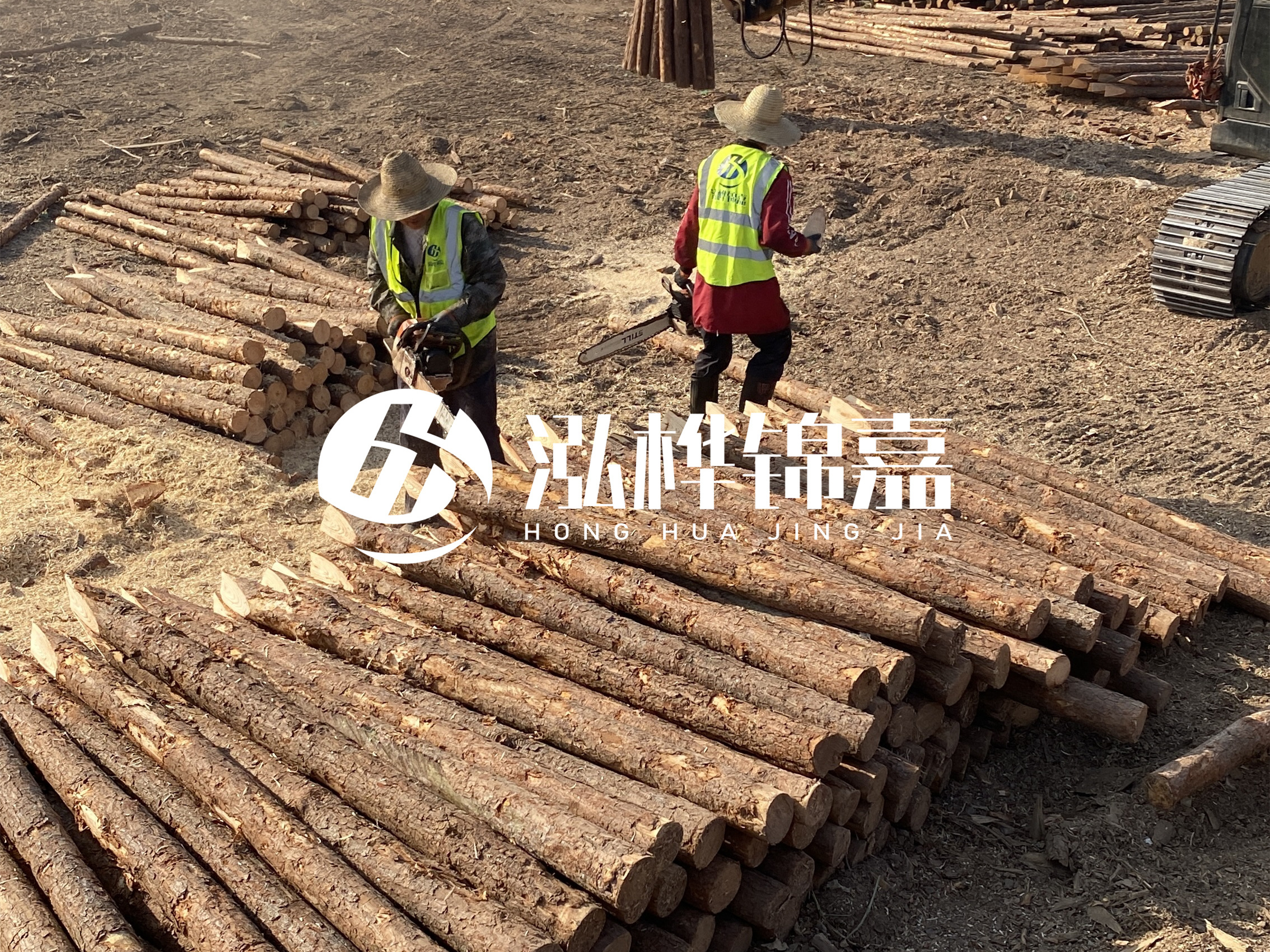 河道木樁報價在汛期前后會有波動嗎？什么時候買最便宜？