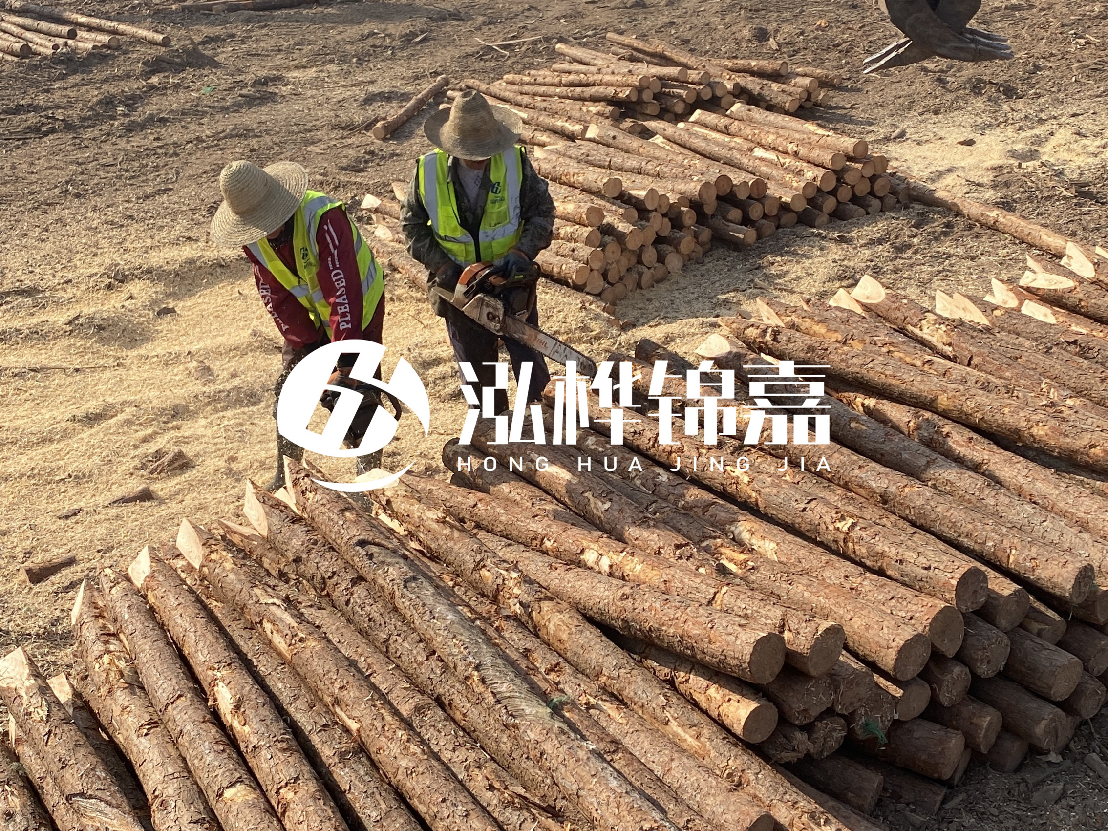 河北打樁木廠家主要生產(chǎn)哪些材質(zhì)的打樁木？產(chǎn)品有哪些規(guī)格？