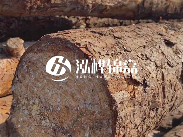 松木樁如何做到千年不腐的？松木樁打地基耐用年限揭秘