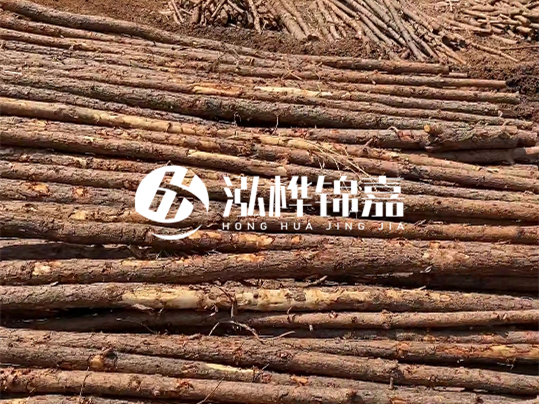 10公分的木材多少根為一方 - 4米10公分樹(shù)多少根為一方？