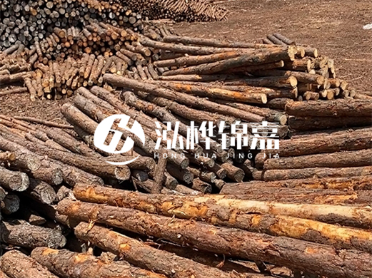 浙江打樁木源頭廠家泓樺錦嘉-松木廠家批發(fā)電話地址？