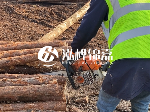 河道打木樁多少錢(qián)一根？5米直徑10松木樁打樁多少錢(qián)？