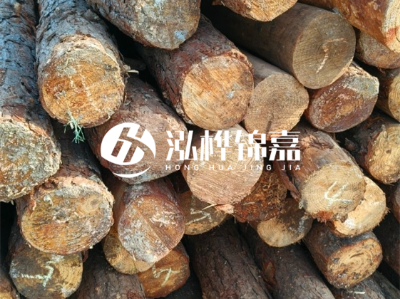 廣東松木樁源頭廠家地址在哪里-泓樺錦嘉屬于什么檔次？