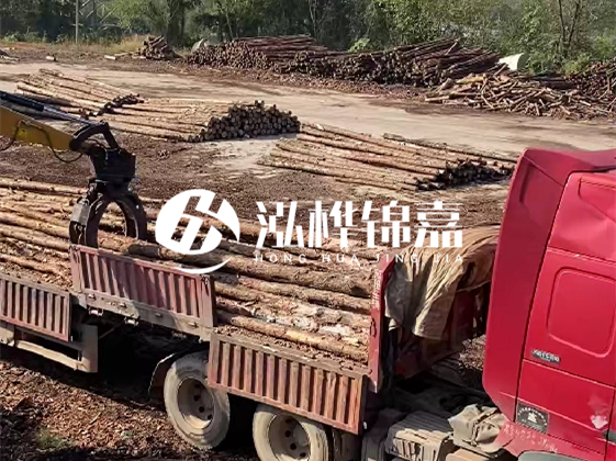 四川松木樁廠家泓樺錦嘉-哪一種打樁木最便宜？