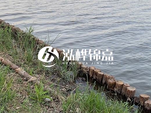 防洪松木樁施工重要性？河道打木樁的位置怎么確定？