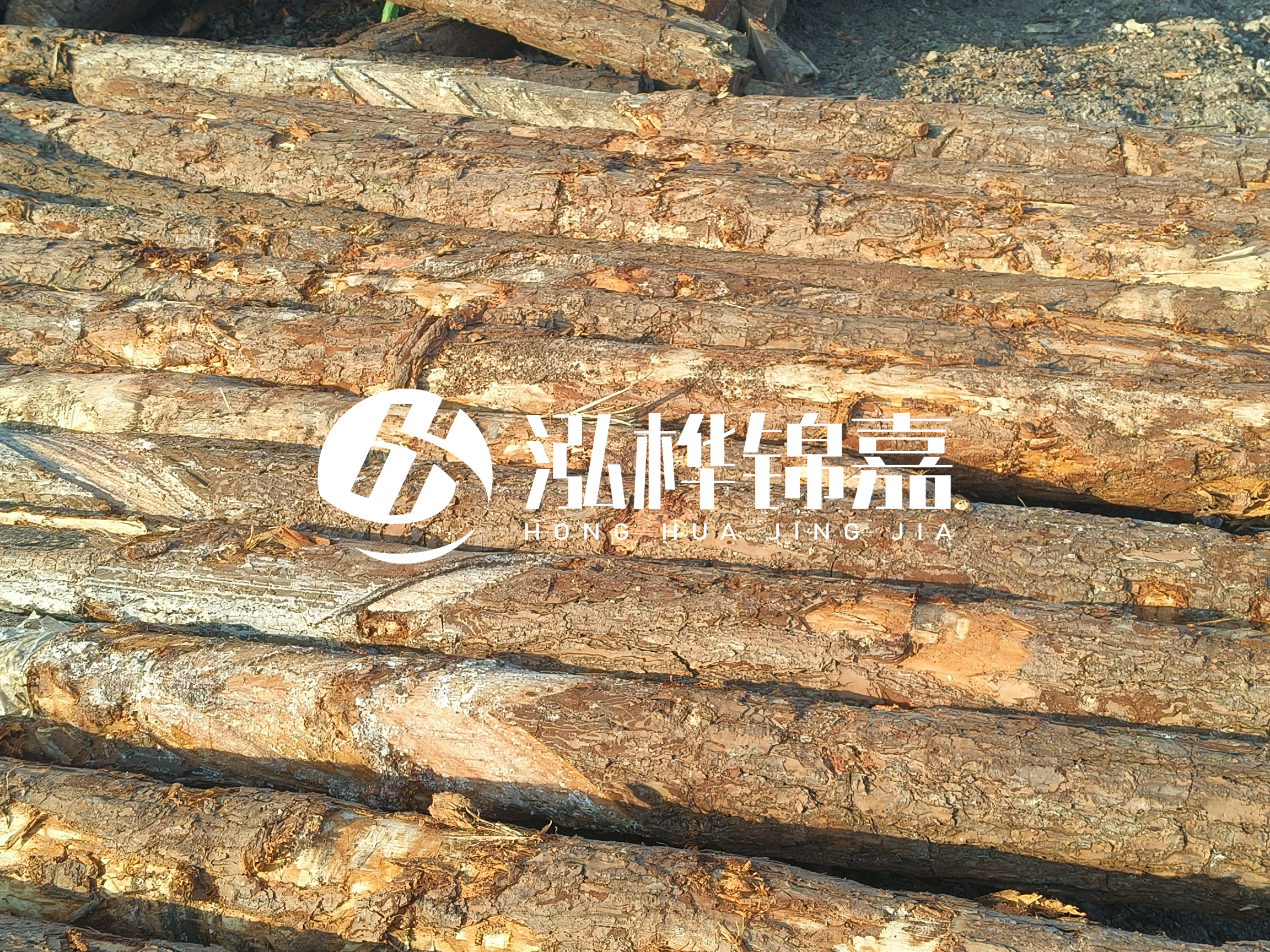 河道木樁的含水率過高會(huì)有什么問題？怎么檢查松木樁含水率？