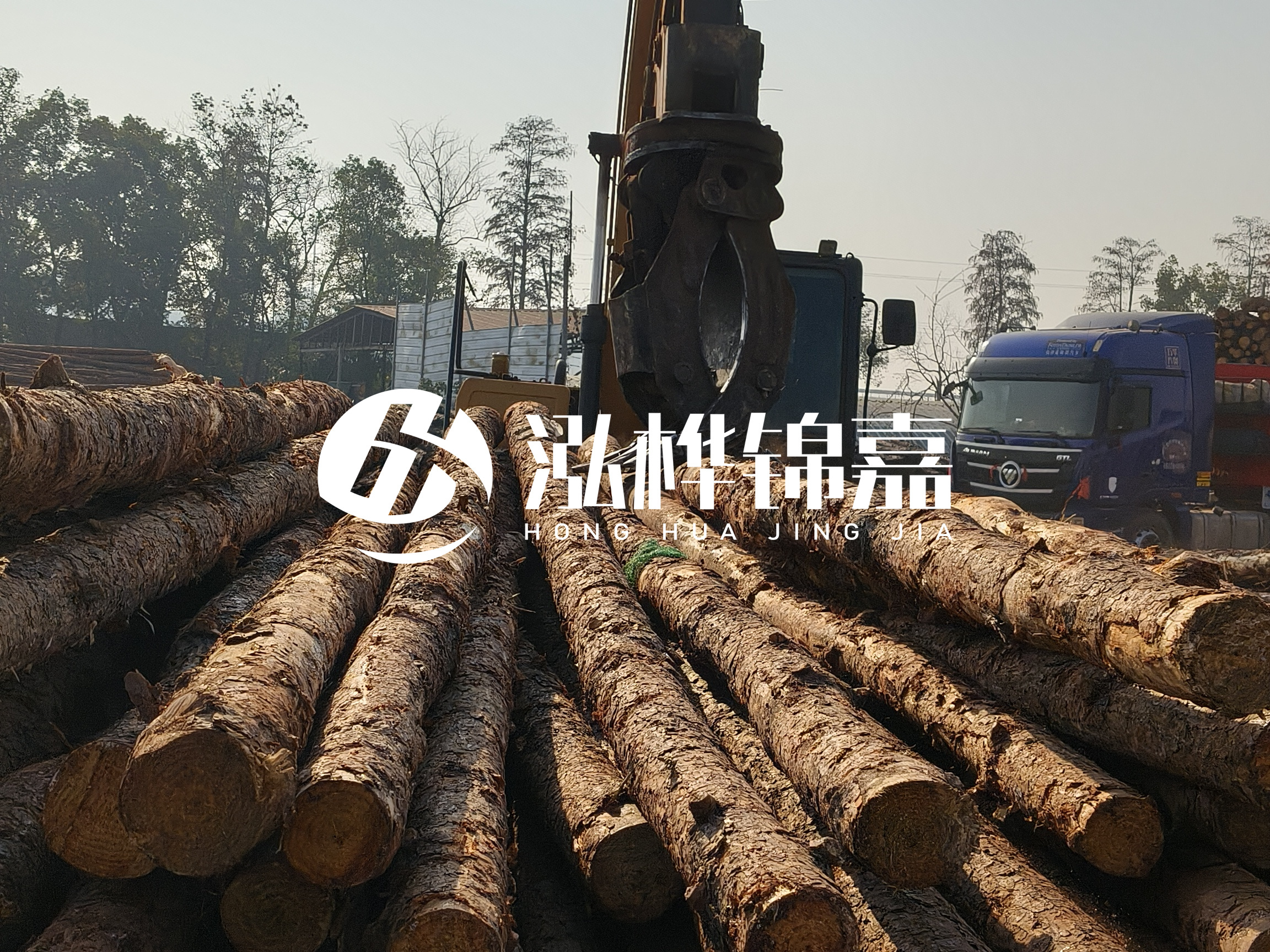 松木樁可以用來做什么？常用于哪些工程？