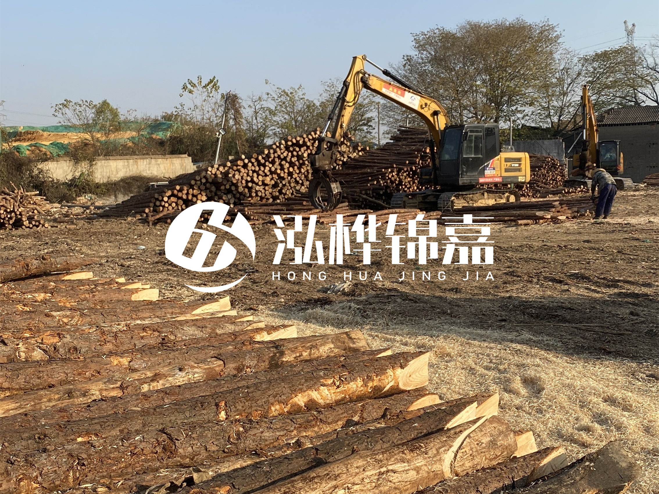 松木樁批發(fā)廠家泓樺錦嘉-松木樁廠家能開發(fā)票嗎？