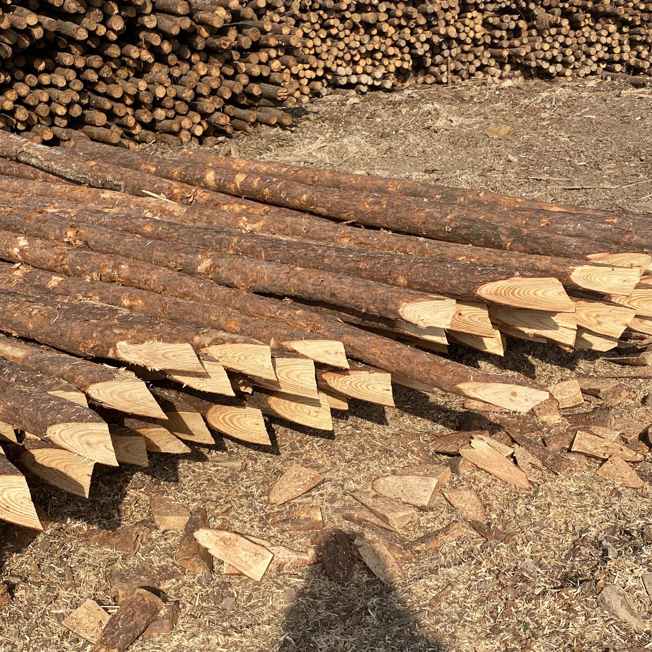 松木樁施工隊(duì)泓樺錦嘉-樁與樁之間的距離要求？