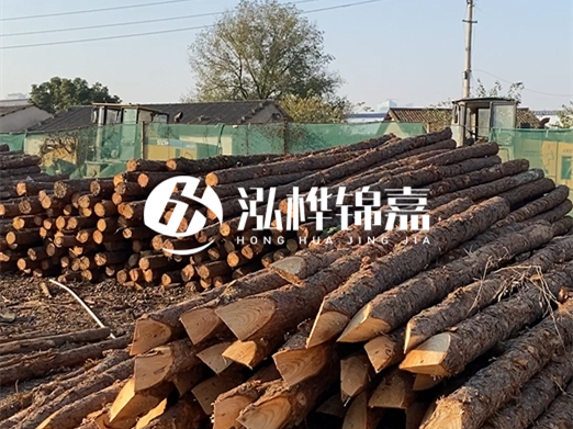 松木樁施工隊(duì)泓樺錦嘉 - 河道打樁用什么木樁？