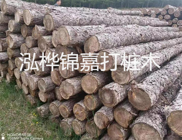 高效修補(bǔ)，保駕護(hù)航！水泥路面高強(qiáng)度修補(bǔ)料為您解決煩惱！