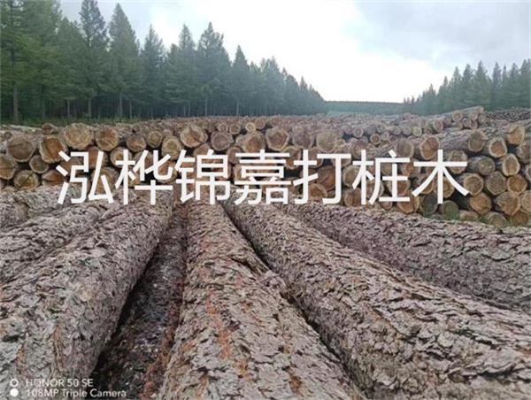 高效施工，圓松木樁助力建筑工程進展順利