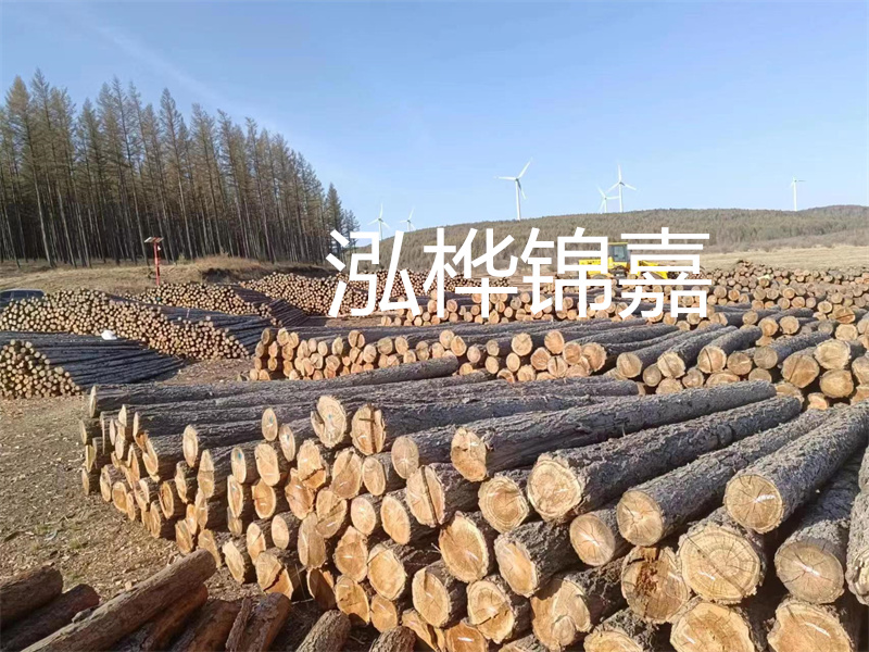 用路基松木樁施工方案提升工程質(zhì)量描述：了解路基松木樁施工方案的重要性，提高工程質(zhì)量關(guān)鍵詞：路基松木樁，施工方案，工程質(zhì)量