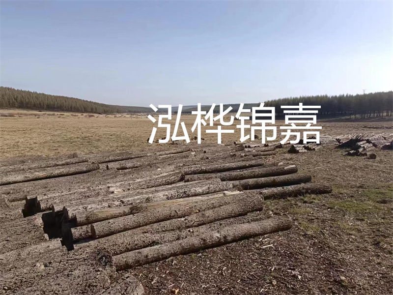 鄂州松木樁哪里好？推薦泓樺錦嘉松木樁業(yè)！