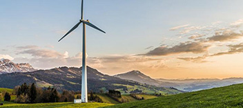 公司動(dòng)態(tài)